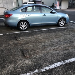 ブルーバードシルフィ
の画像