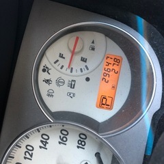 ブルーバードシルフィ
の画像