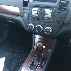 ブルーバードシルフィ
の画像