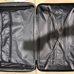 大きめキャリーケースの画像