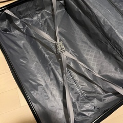 大きめキャリーケースの画像