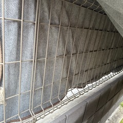 unico ラグ　ウニコの画像