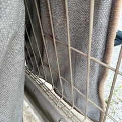 unico ラグ　ウニコの画像