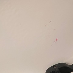 ゴミ箱　ニトリの画像