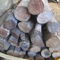 MIX薪、4カゴ全部、1枚目写真のみ杉極太、後は広葉樹、薪ストーブの画像