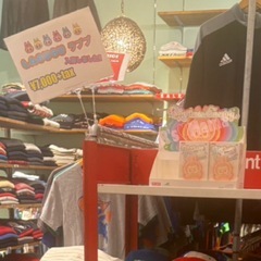 Labubu ラブブ ３種類セット らぶぶの画像