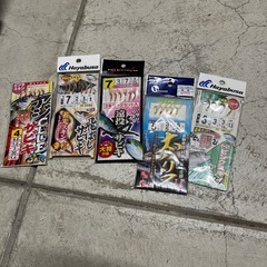 海釣りの仕掛けセットの画像