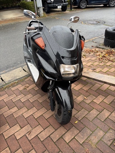 マジェスティー250 自賠責保険残り1年‼️