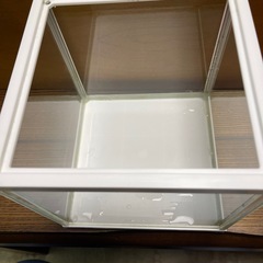 GEX ジェックス水槽20×20の画像