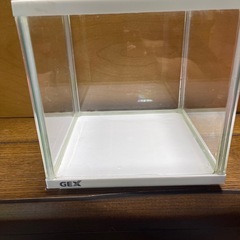 GEX ジェックス水槽20×20の画像