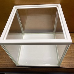 GEX ジェックス水槽20×20の画像