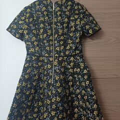 テッドベーカードレスサイズ2の画像