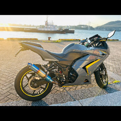 ninja250r(型式:EX25OKE)の画像