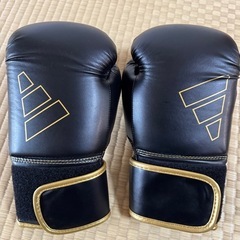 ボクシンググローブの画像
