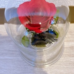 🌹美女と野獣　プリザーブドフラワーの画像