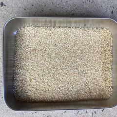 令和7年産新米　ひとめぼれ玄米30kgの画像