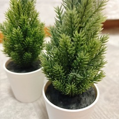 IKEA イケア ミニ　クリスマスツリー 18cm 3個セット　もみの木の画像
