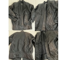 牛皮革 Fサイズ ジャケット レディース 本革の画像