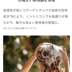 Hair filter(ヘアフィルター) グロッシーコートシャンプーの画像