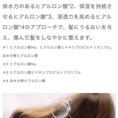 Hair filter(ヘアフィルター) グロッシーコートシャンプーの画像