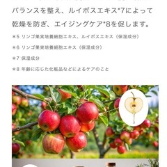 Hair filter(ヘアフィルター) グロッシーコートシャンプーの画像