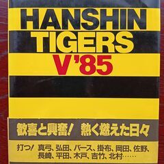 阪神タイガース2003年優勝記念グッズの画像
