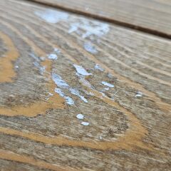 ✨️ジモティー割引✨️【ジャングルジャングル堺初芝店】 テーブル　堺市（東区　西区　北区　南区　堺区　美原区）高石市　泉大津市　忠岡町　和泉市　松原市　大阪狭山市の画像