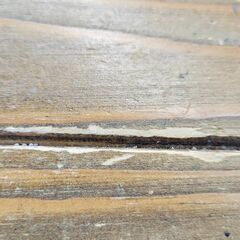 ✨️ジモティー割引✨️【ジャングルジャングル堺初芝店】 テーブル　堺市（東区　西区　北区　南区　堺区　美原区）高石市　泉大津市　忠岡町　和泉市　松原市　大阪狭山市の画像