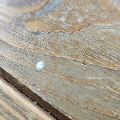 ✨️ジモティー割引✨️【ジャングルジャングル堺初芝店】 テーブル　堺市（東区　西区　北区　南区　堺区　美原区）高石市　泉大津市　忠岡町　和泉市　松原市　大阪狭山市の画像