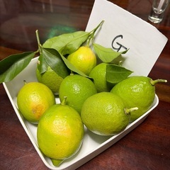 完全無農薬のレモン　1キロ Gの画像