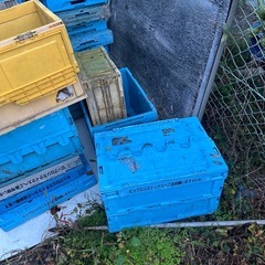 一個150円！折り畳みコンテナ、カゴ、ケース、箱、物流の画像