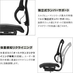Ergohuman オフィスチェア KM-11グレー 肘付き エラストメリックメッシュ エルゴヒューマン 人間工学デスクチェア 清掃/動作確認済みの画像