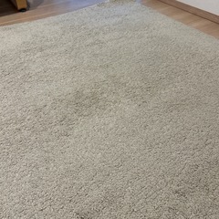 厚みのあるカーペットの画像