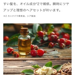 Hair filter(ヘアフィルター) グロッシーコートスプレーの画像