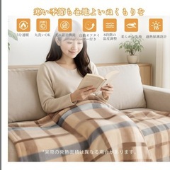 電気毛布 掛け敷毛布 洗える 140✖️80自動オフ ベージュチェックの画像