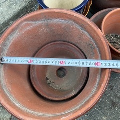 鉢植え11個全て引き取ってくれる方　の画像