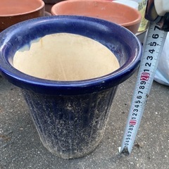 鉢植え11個全て引き取ってくれる方　の画像