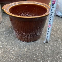 鉢植え11個全て引き取ってくれる方　の画像