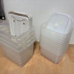 昆虫飼育に使っていたケース差し上げます。の画像