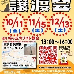 イベント 東京都多摩市聖蹟桜ヶ丘にて保護猫譲渡会開催