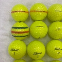 タイトリスト PRO V1 イエロー 24球の画像