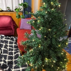 お取引中　
クリスマスツリーの画像