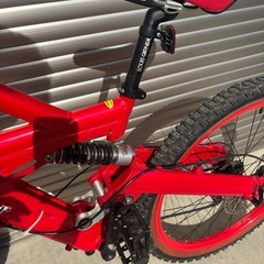 ルイガノ　ダウンヒルバイクの画像