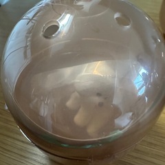 ガチャガチャ❗️ふんばり〜ぬ2✨🐶
✨の画像