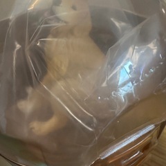 ガチャガチャ❗️ふんばり〜ぬ2✨🐶
✨の画像