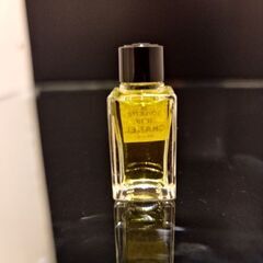 シャネル N19の画像