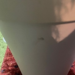 11月処分　定価3000円前後　qualy クオリー　ゴミ箱　雑貨　ゴミ入れ　ホワイト　コーヒー缶　トラッシュボックス　の画像