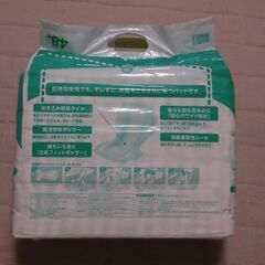 【新品・未開封】ライフリー　さらさらパッド　４８枚の画像