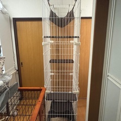 キャット　ゲージ　3だん3段の画像