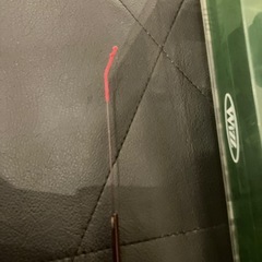 ヘラブナ釣り 竿　竹龍 ヘラ硬調　EX八の画像